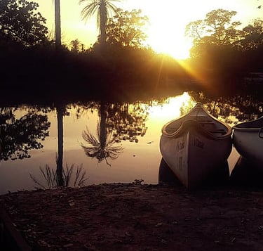 Marakissa River Camp birdwatching and wetland nature Gambia