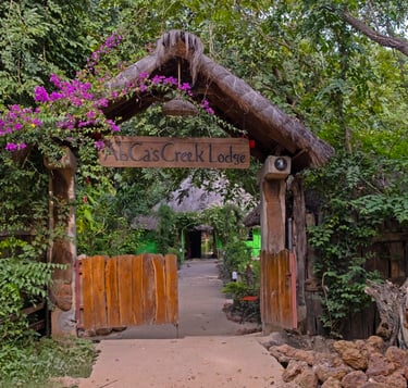 A serene view of Abca's Creek Lodge, featuring cozy wooden cabins nestled along a tranquil creek, su