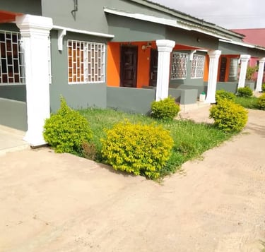 Kakuba Garden Hotel Kudang birdwatching in rice fields Gambia