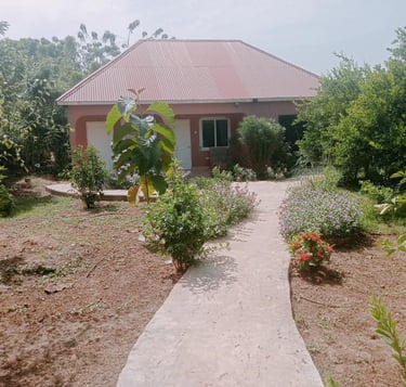 Riverside Lodge Bansang garden and river view Gambia