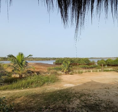 Tanema Creek Lodge Nema mangroves and birdwatching Gambia