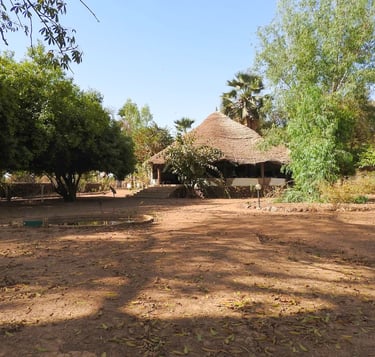 Campement de Wassadou eco-lodge Tambacounda Senegal