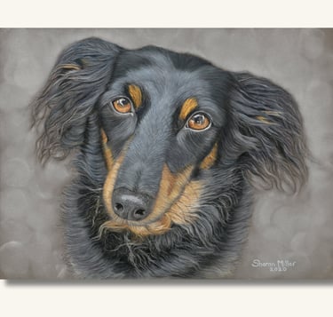 Pet Portrait Artist
