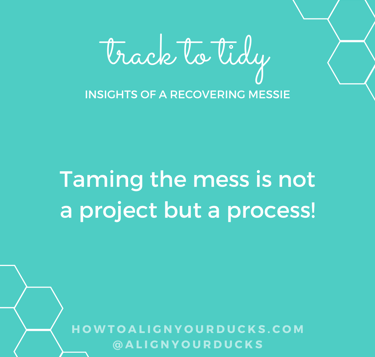 Taming the mess is not a project but a process!