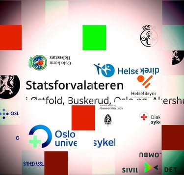 Statsforvalteren i Oslo, Oslo kommune, Kontrollkommisjonen, Statens helsetilsyn, Sivilombudet, legev