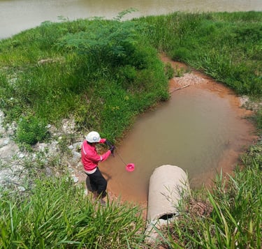 Water quality monitoring 