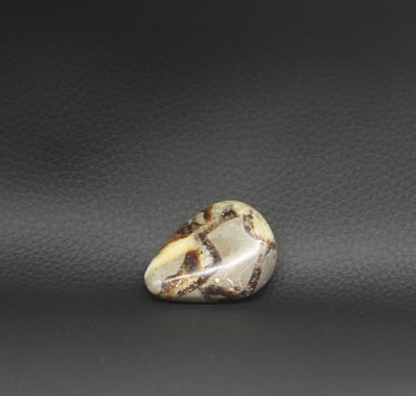 Galet Septaria Madagascar - Pierre de Protection | L'essence aux 1000 pendules