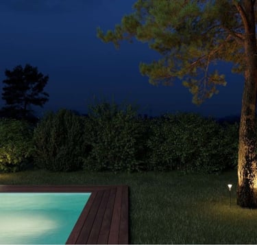 fotografía jardín de noche