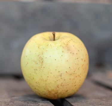 Pomme Golden bio cultivée dans le verger familial en Savoie - La Ferme du Coteau