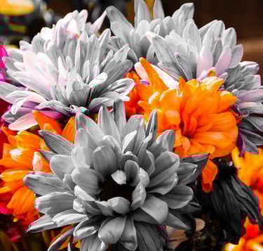 Orange and grey abstract flowers