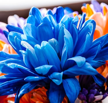 Blue flower