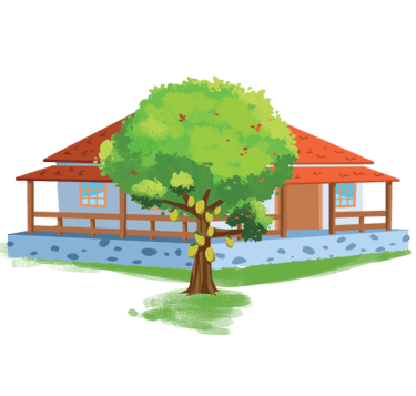 casa de fazendo com telhado laranja e uma grande árvore na frente