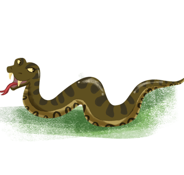 imagem de uma cobra sucuri assustadora