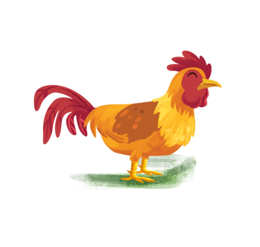 galo de cor laranja, marrom, amarela e vermelho