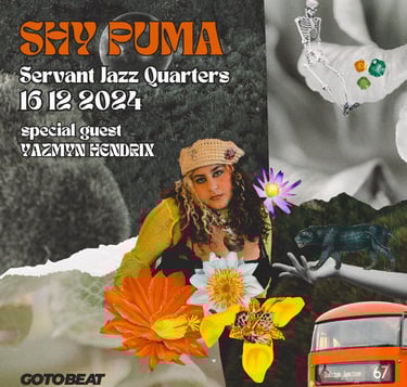SHY PUMA servant jazz quarters