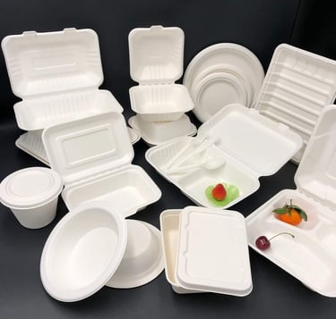 Sugarcane food packaging for restaurants and cafés