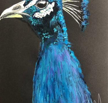 CBM Art blue peacock