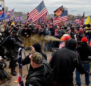 FBI leaving no stone unturned, FBIs search for capital rioters, Project GAS Articles
