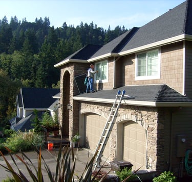 Gutter cleaning and gutter repair in Lexington