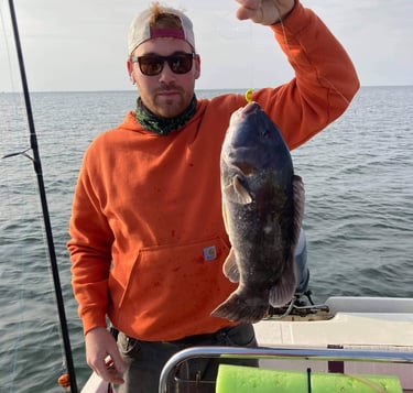 Tog / blackfish / Tautog caught on our Hurst Tackle Supply Jigs