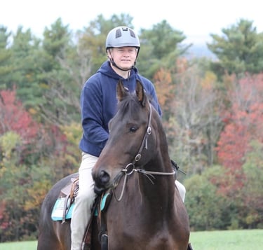 a man riding a horse in a field