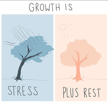 formulė nuosekliam ir ilgalaikiam augimui