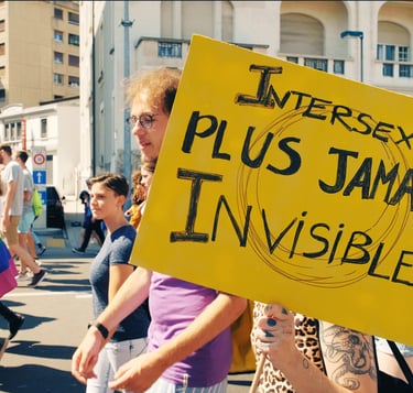 Le point sur les i