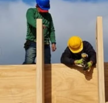 Instalação dos painéis estruturais em CLT durante a montagem da residência na Holanda