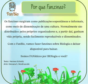 Os fanzines são publicações espontâneas e informais, distribuídos pelos próprios organizadores.