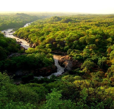 Mpatamanga Wildlife Ranch - Ian Bartlett - The Real Crocodile Hunter