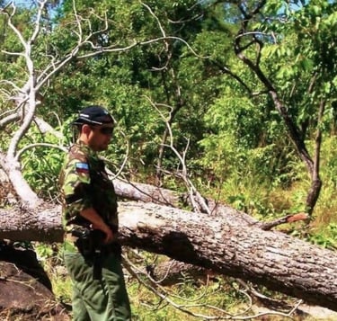 Fighting deforestation - Ian Bartlett - The Real Crocodile Hunter - Mpatamanga Wildlife Ranch