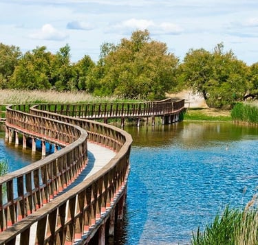 VISITA GUIADA TABLAS DE DAIMIEL