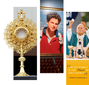 Carlo Acutis Foundation – Official Introduction  The Carlo Acutis Foundation