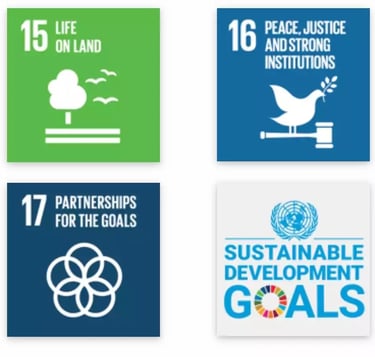 TreeAndHumanKnot presents Sustainable Internship Program (SIP) first of it's kind summer internship