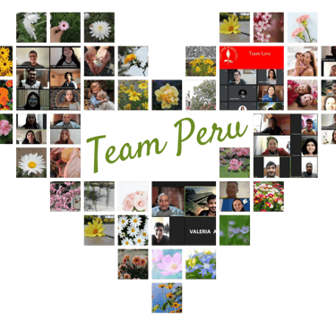 Envíe el formulario de solicitud para postularse al Programa de Pasantías Sostenibles y confirme