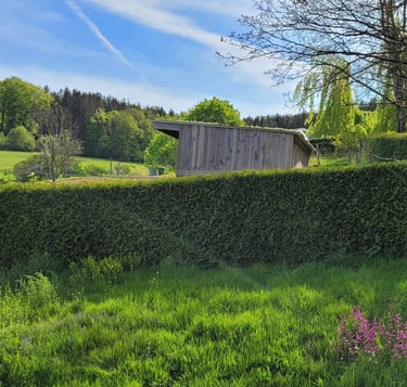 Vosges paysage