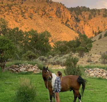 Pedro and Maggie in the back yard