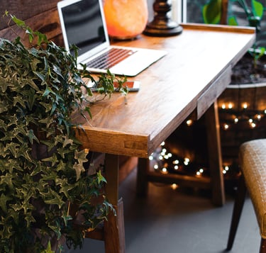 home office plantas hera