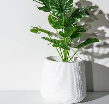 monstera home office