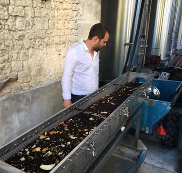 Nicolas Malfondet lors de la production de gin. Infusion de baies de genévriers et écorces d'agrumes