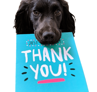 dog-thank-you