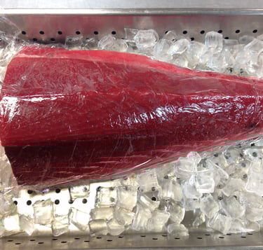 Maguro