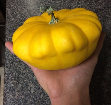 Pattypan!!