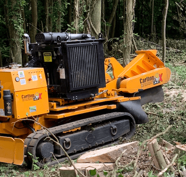 stump grinder at work