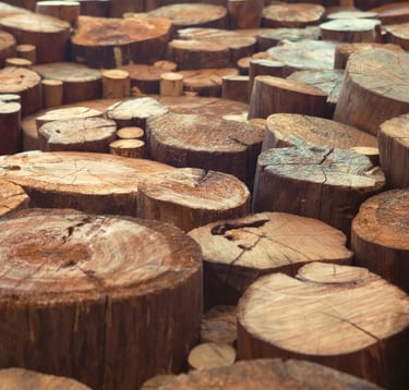 TREE-MENDOUS Tree Service