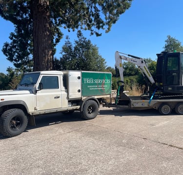 hawkins tree surgeons