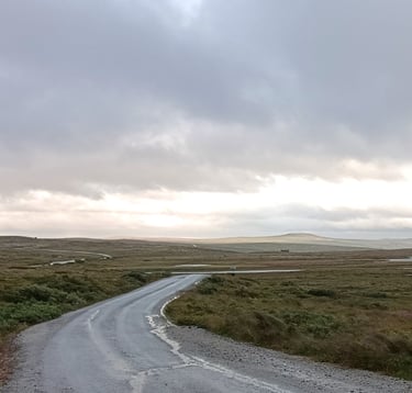 Droga na płaskowyżu Hardangevidda w Norwegii jesienią