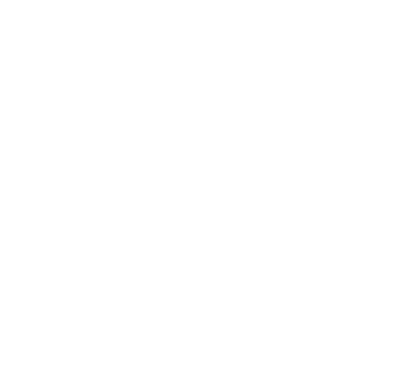 wix official partner