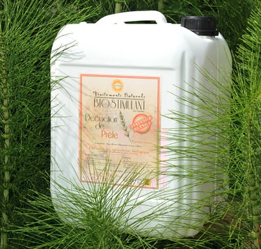 Biostimulant Prêle