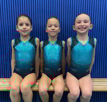 Artistica Jesolo Corso Avanzato